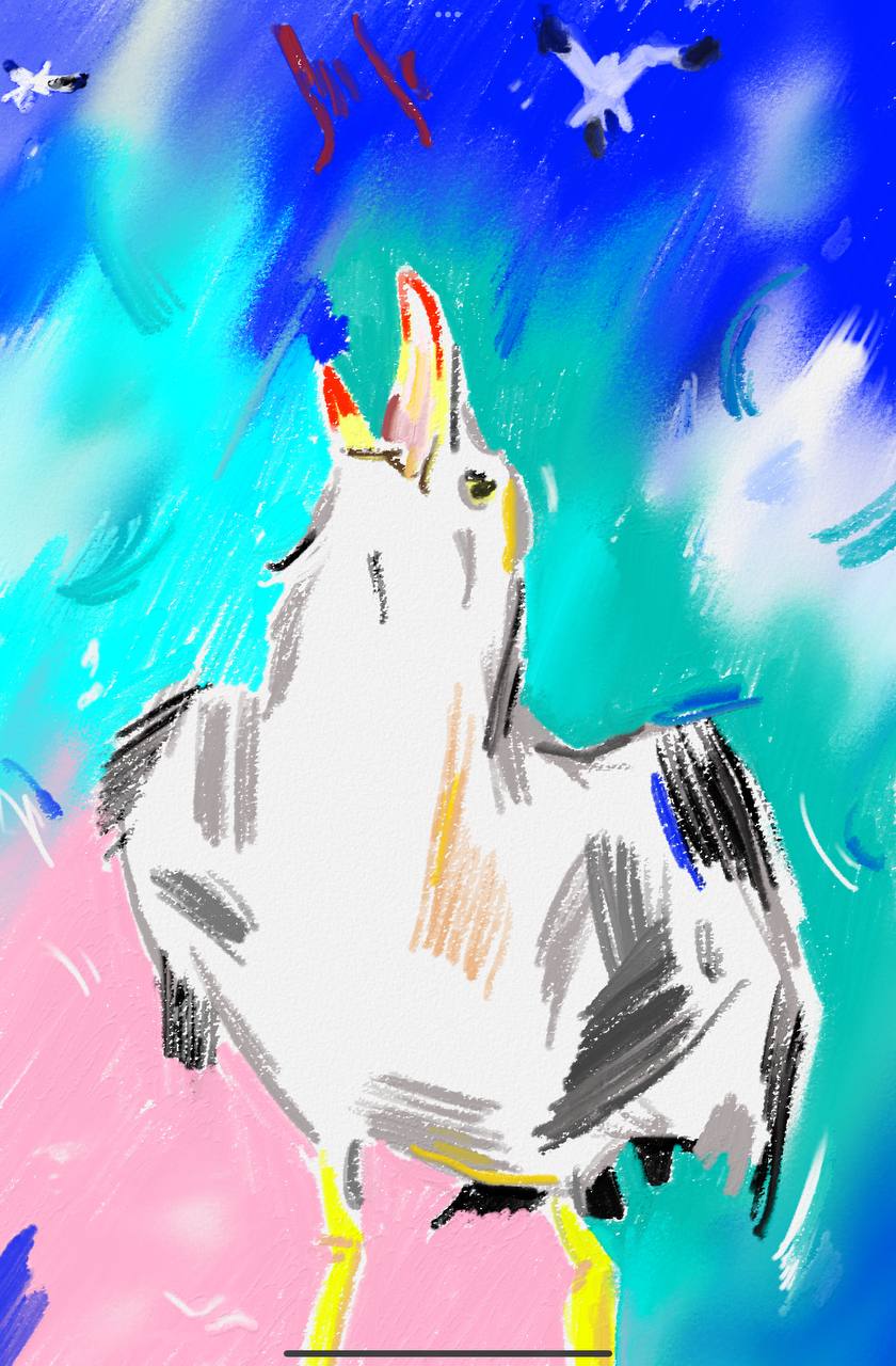 The Cry of a Seagull
